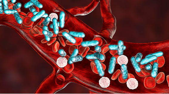 2024 - 2025 Patient Safety Award and Grant Program Topic: Early Recognition of Sepsis